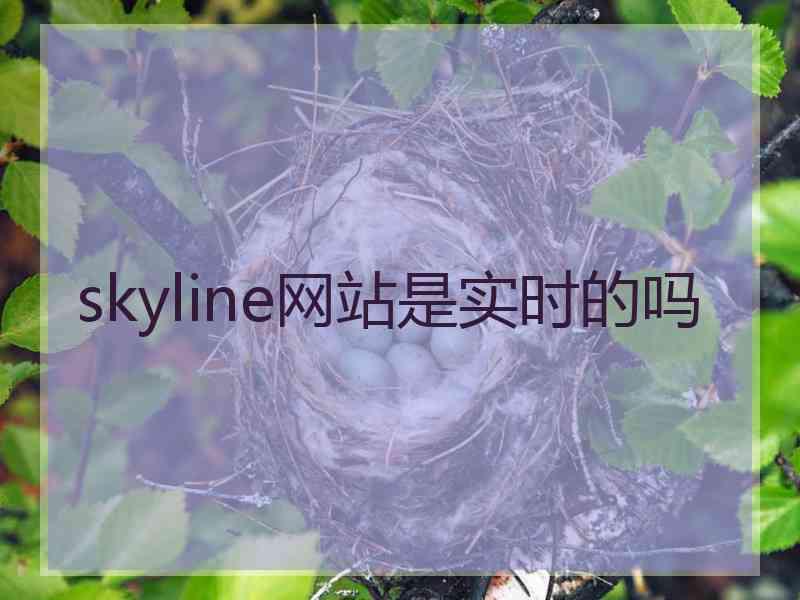 skyline网站是实时的吗