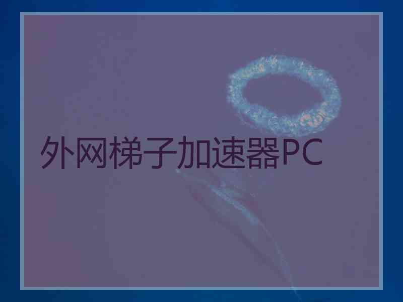 外网梯子加速器PC