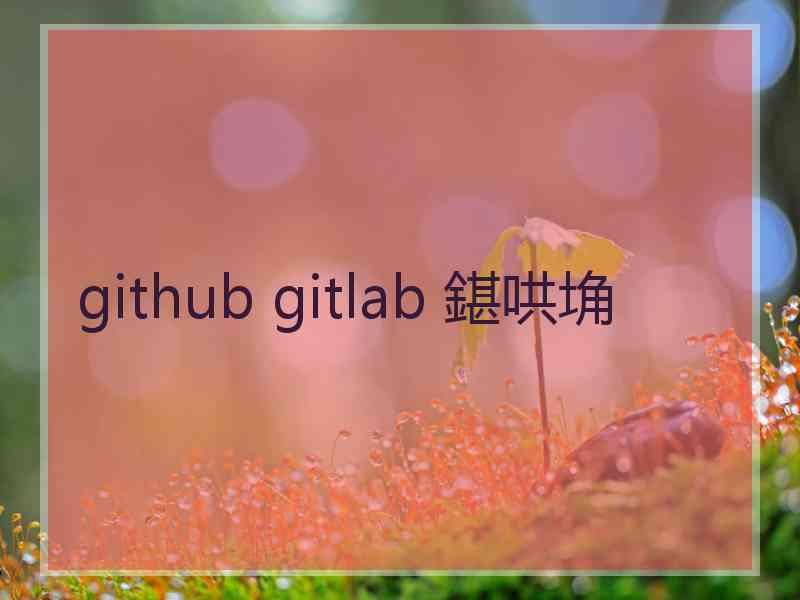 github gitlab 鍖哄埆