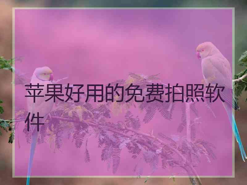 苹果好用的免费拍照软件