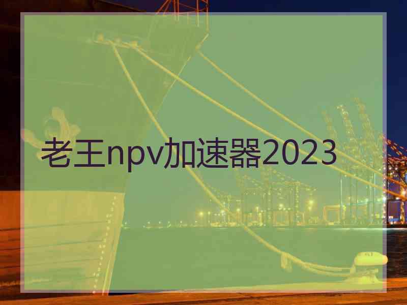 老王npv加速器2023