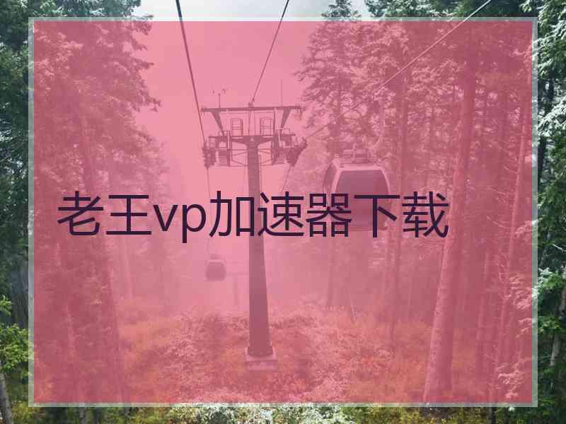 老王vp加速器下载