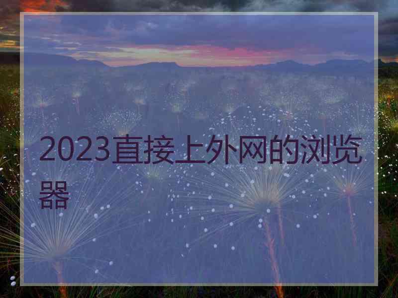 2023直接上外网的浏览器