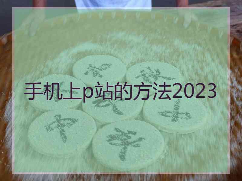 手机上p站的方法2023