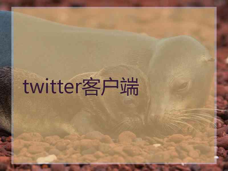 twitter客户端