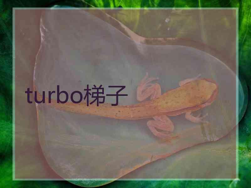 turbo梯子