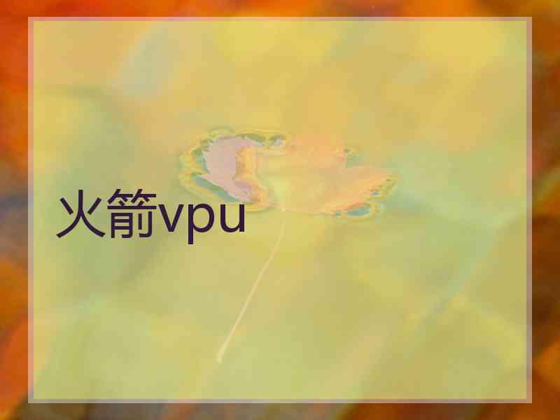 火箭vpu