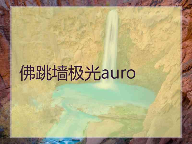 佛跳墙极光auro