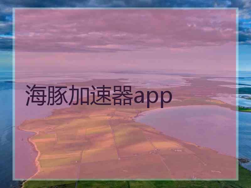 海豚加速器app