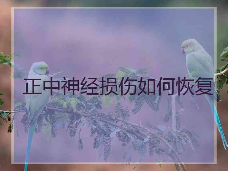 正中神经损伤如何恢复