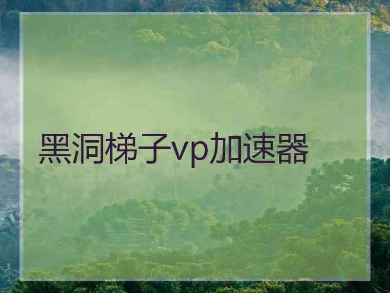 黑洞梯子vp加速器