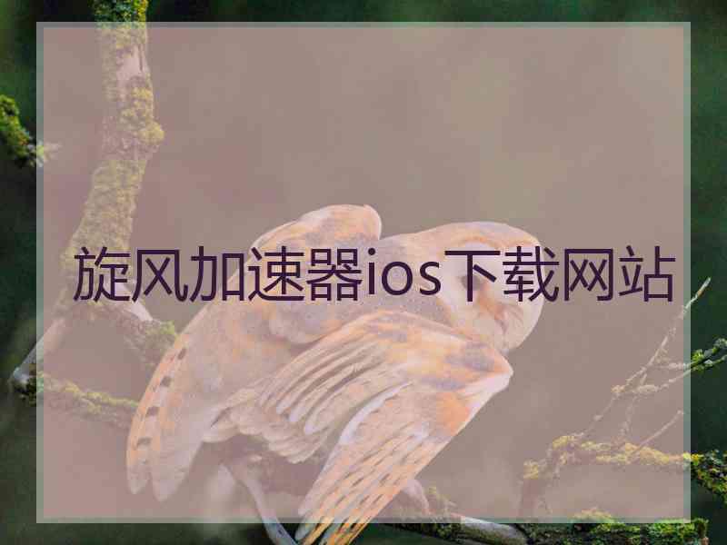 旋风加速器ios下载网站