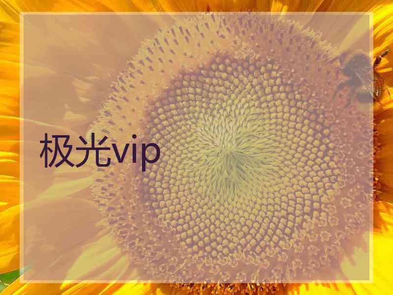 极光vip