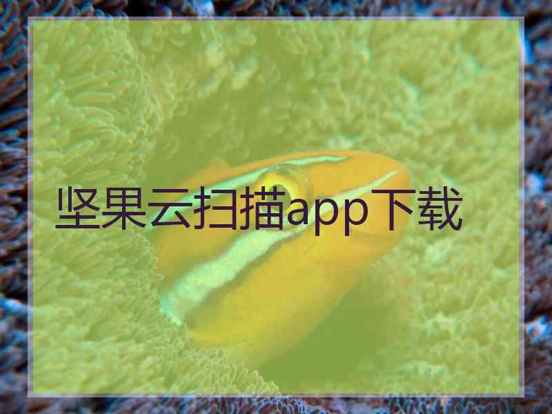 坚果云扫描app下载