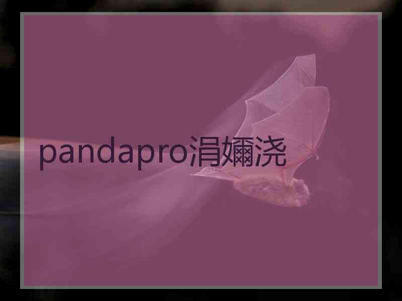 pandapro涓嬭浇