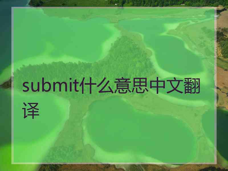 submit什么意思中文翻译