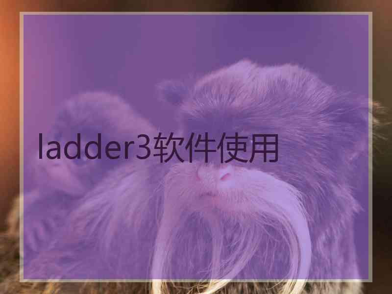 ladder3软件使用