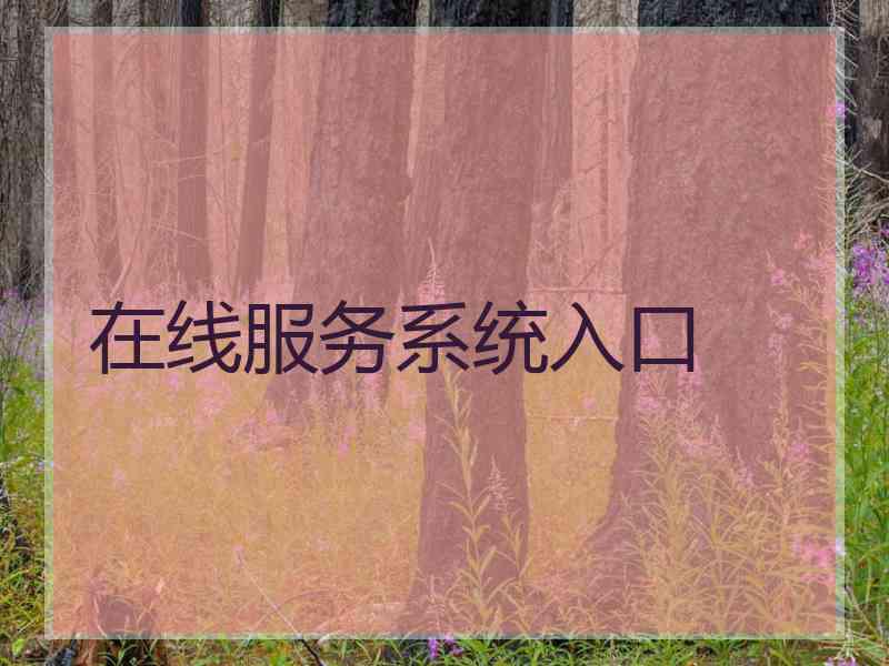 在线服务系统入口