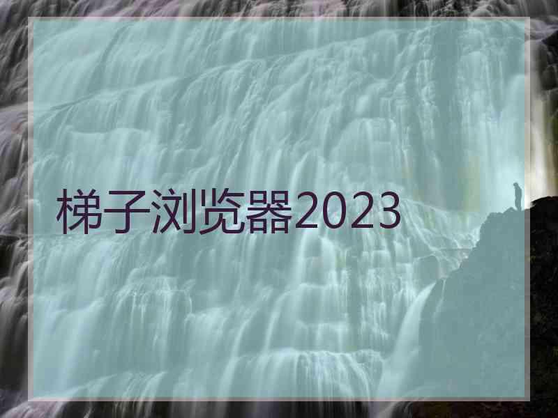 梯子浏览器2023