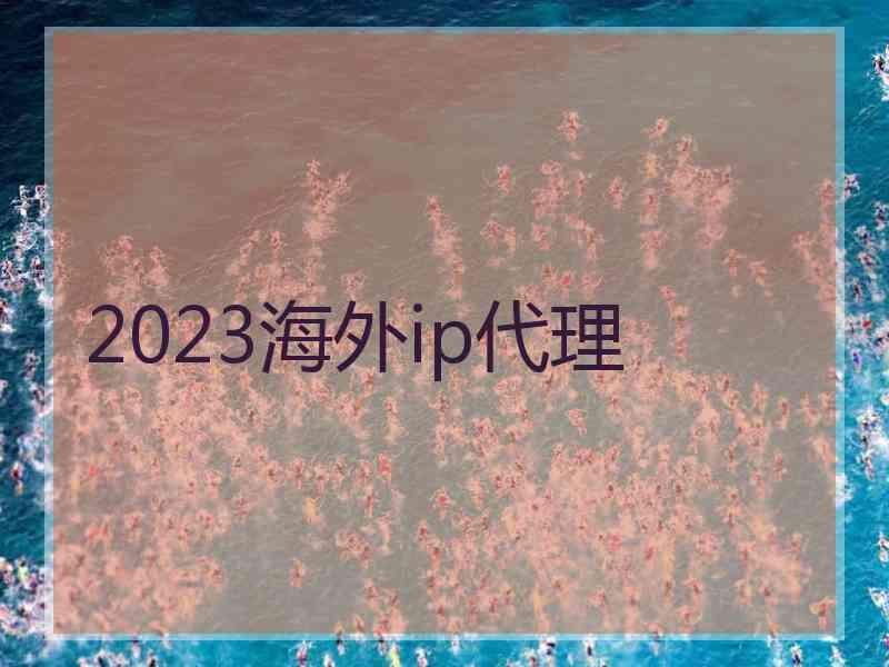 2023海外ip代理