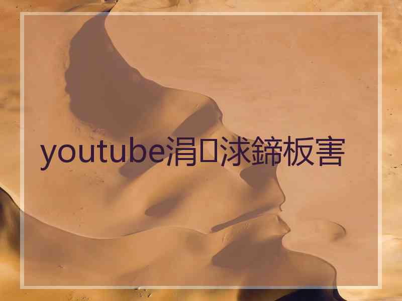 youtube涓浗鍗板害