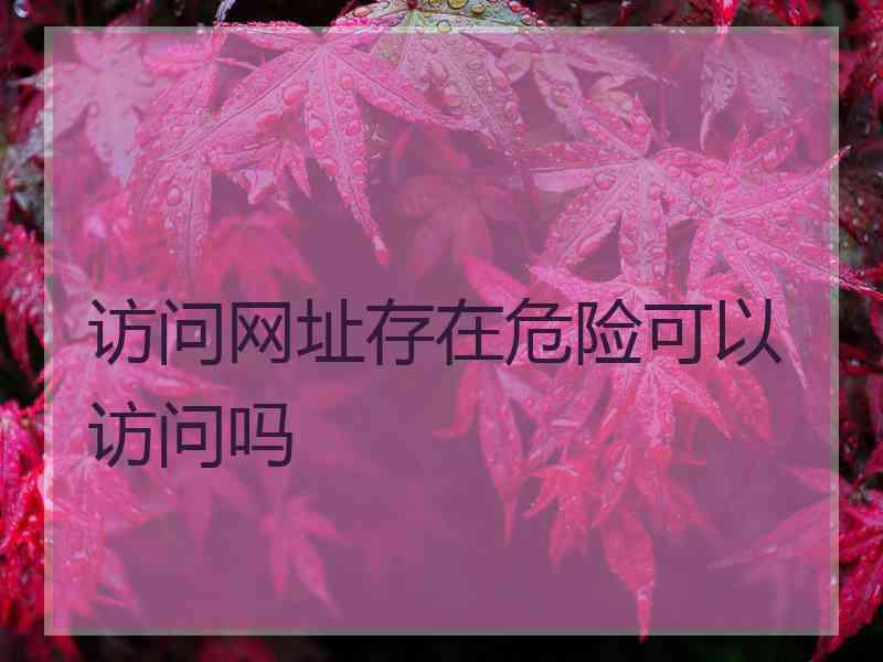 访问网址存在危险可以访问吗