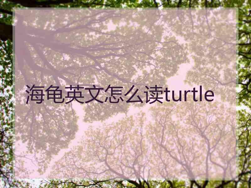 海龟英文怎么读turtle