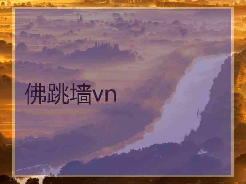 佛跳墙vn