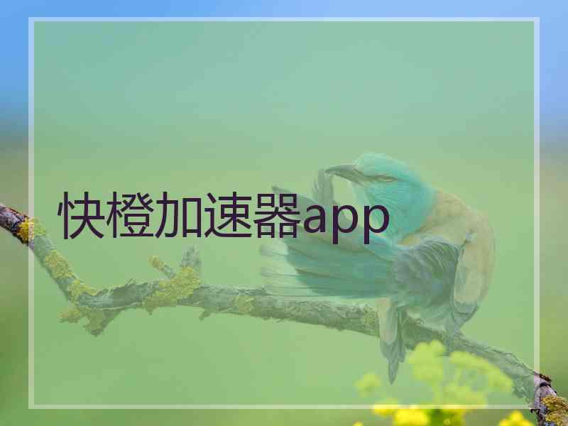 快橙加速器app