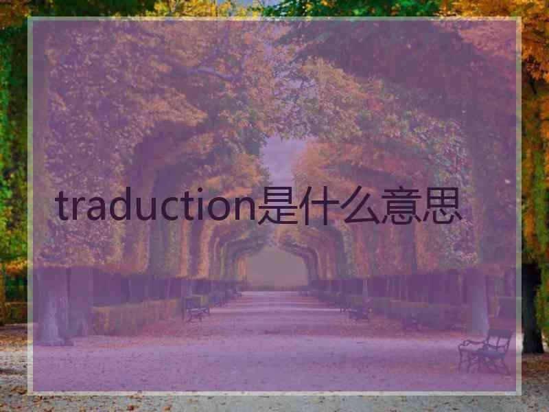 traduction是什么意思