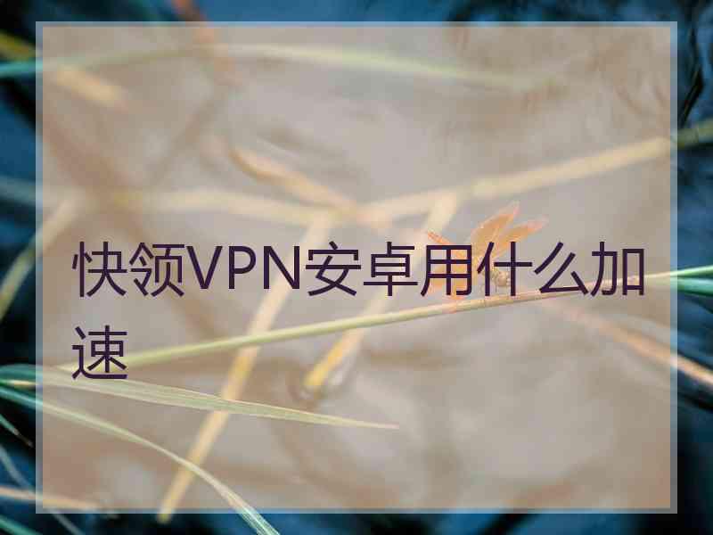 快领VPN安卓用什么加速