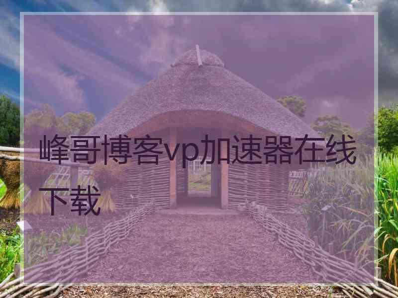 峰哥博客vp加速器在线下载