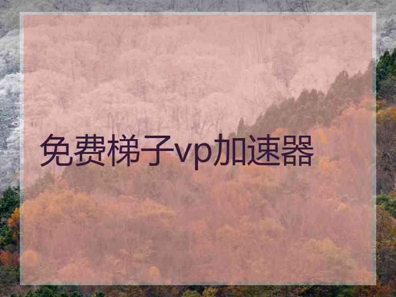 免费梯子vp加速器