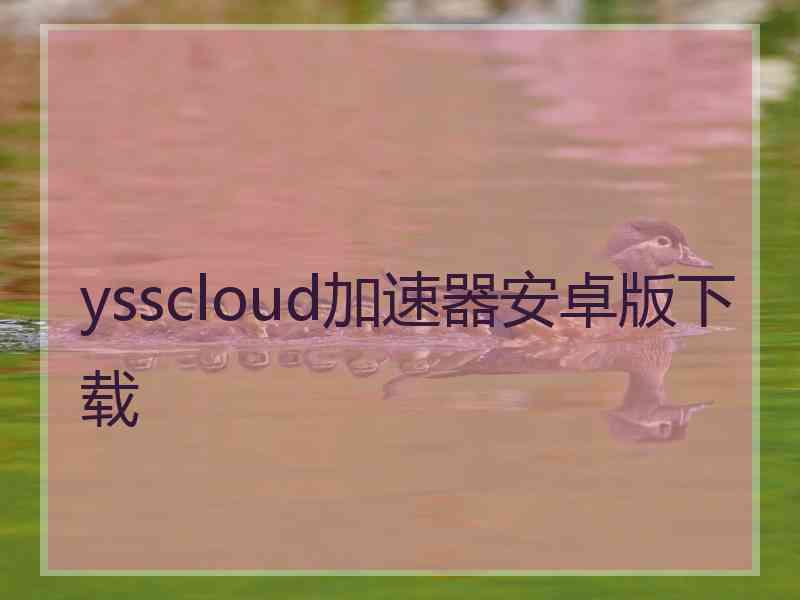 ysscloud加速器安卓版下载