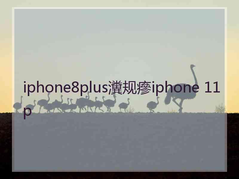 iphone8plus瀵规瘮iphone 11p