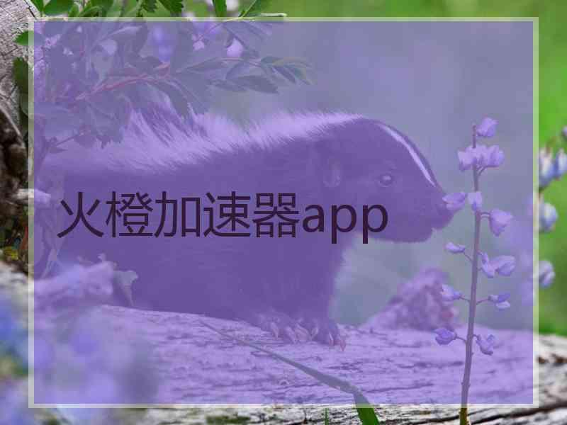 火橙加速器app