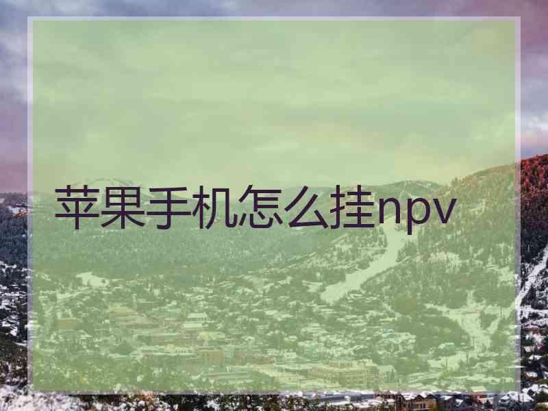 苹果手机怎么挂npv