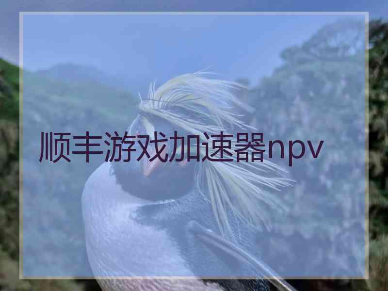 顺丰游戏加速器npv