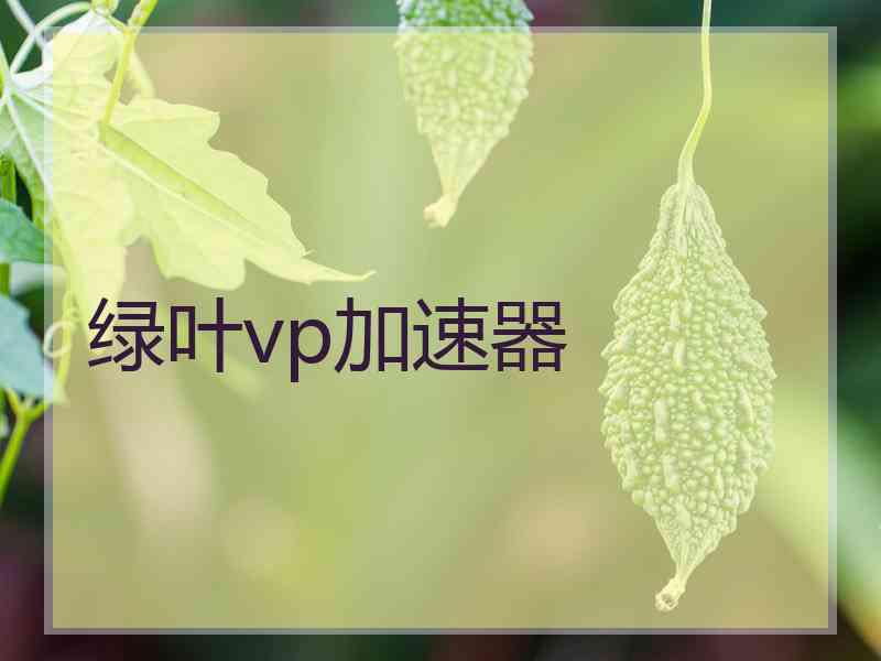 绿叶vp加速器