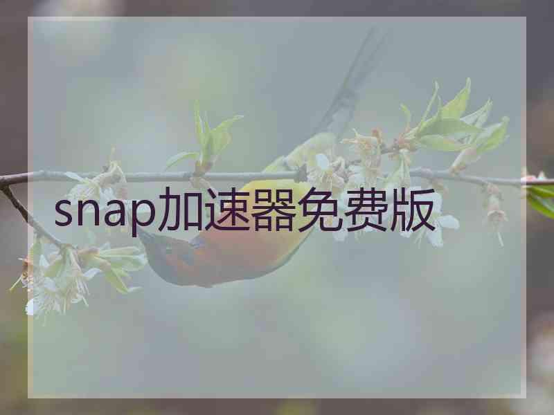 snap加速器免费版