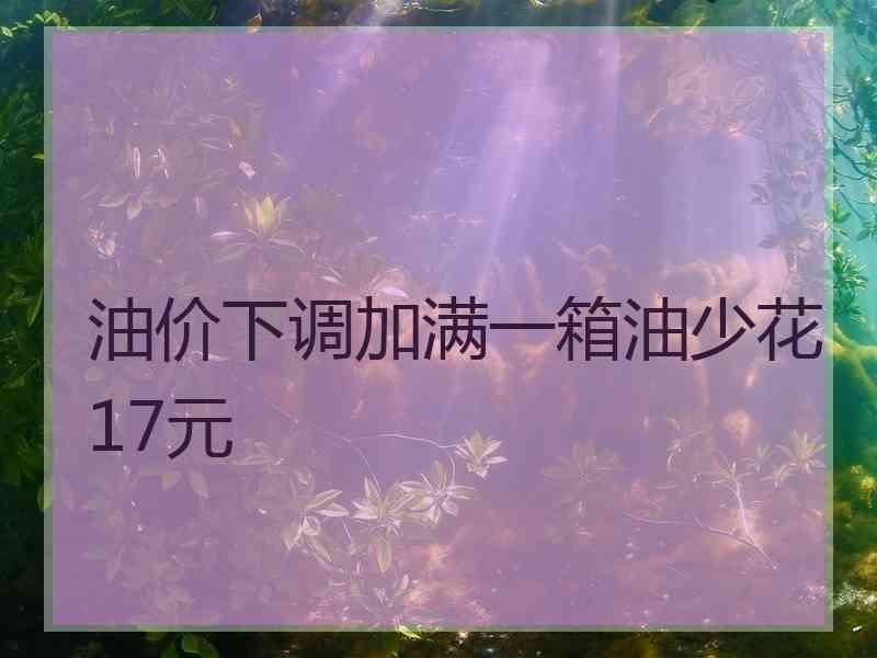 油价下调加满一箱油少花17元