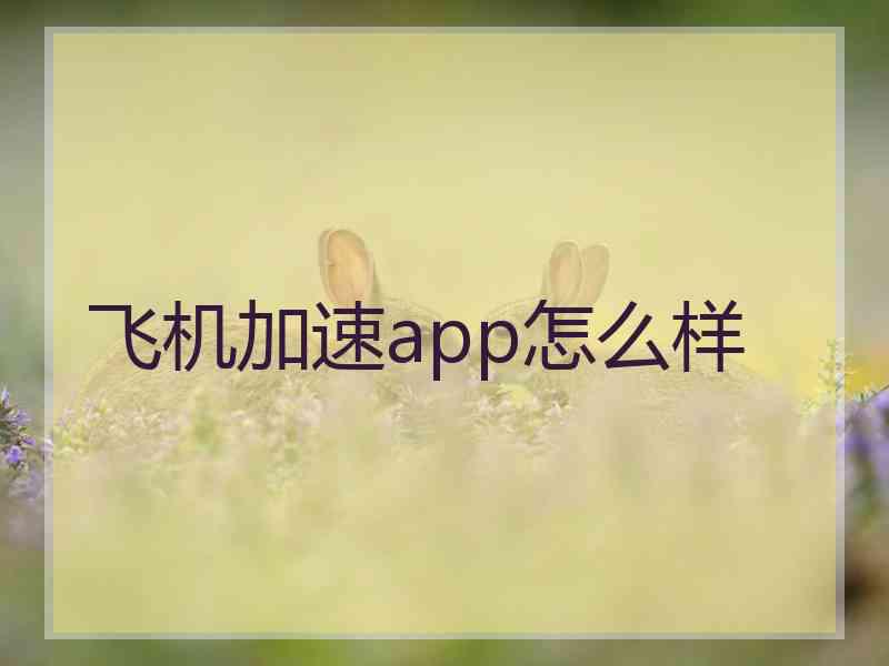 飞机加速app怎么样