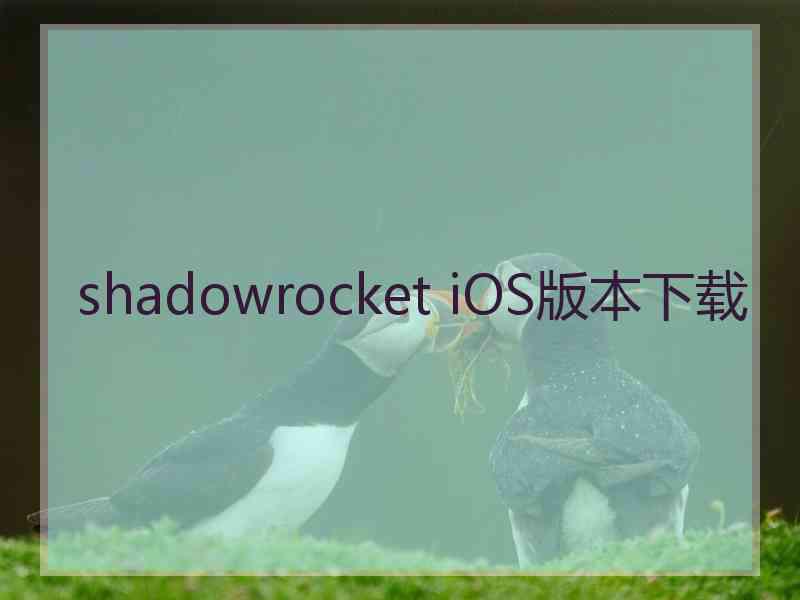 shadowrocket iOS版本下载