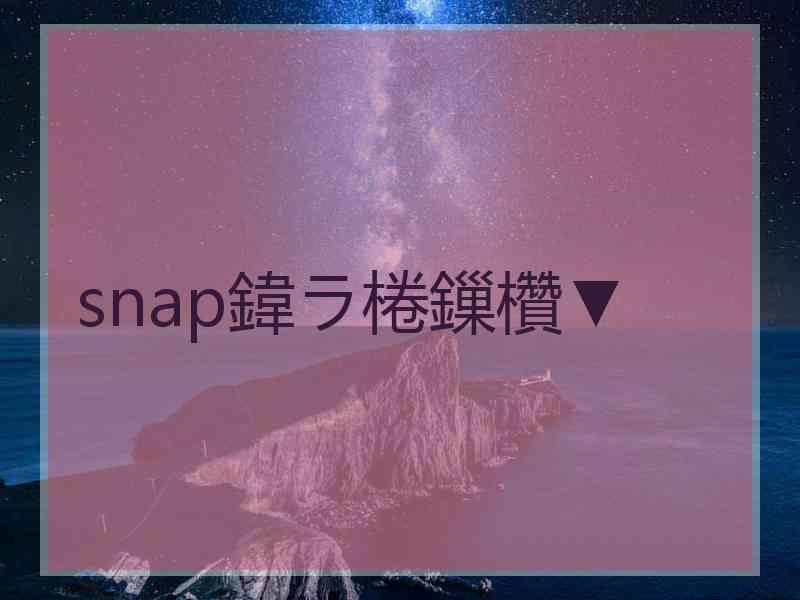 snap鍏ラ棬鏁欑▼