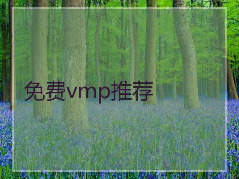 免费vmp推荐