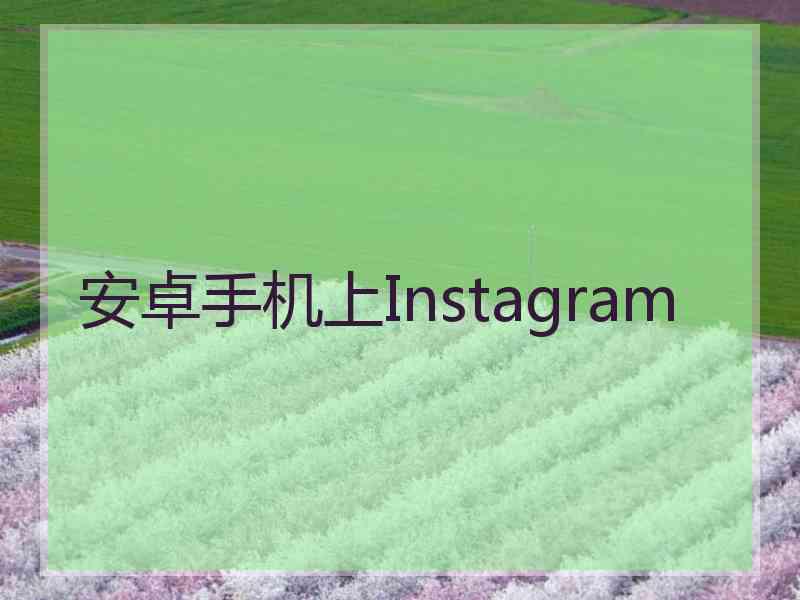 安卓手机上Instagram