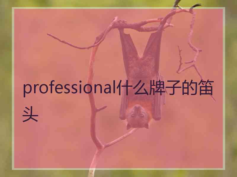 professional什么牌子的笛头