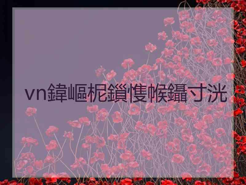 vn鍏嶇柅鎻愯帿鑷寸洸