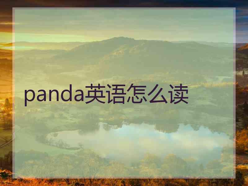 panda英语怎么读