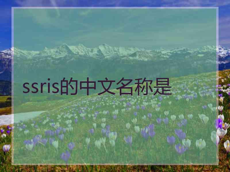 ssris的中文名称是